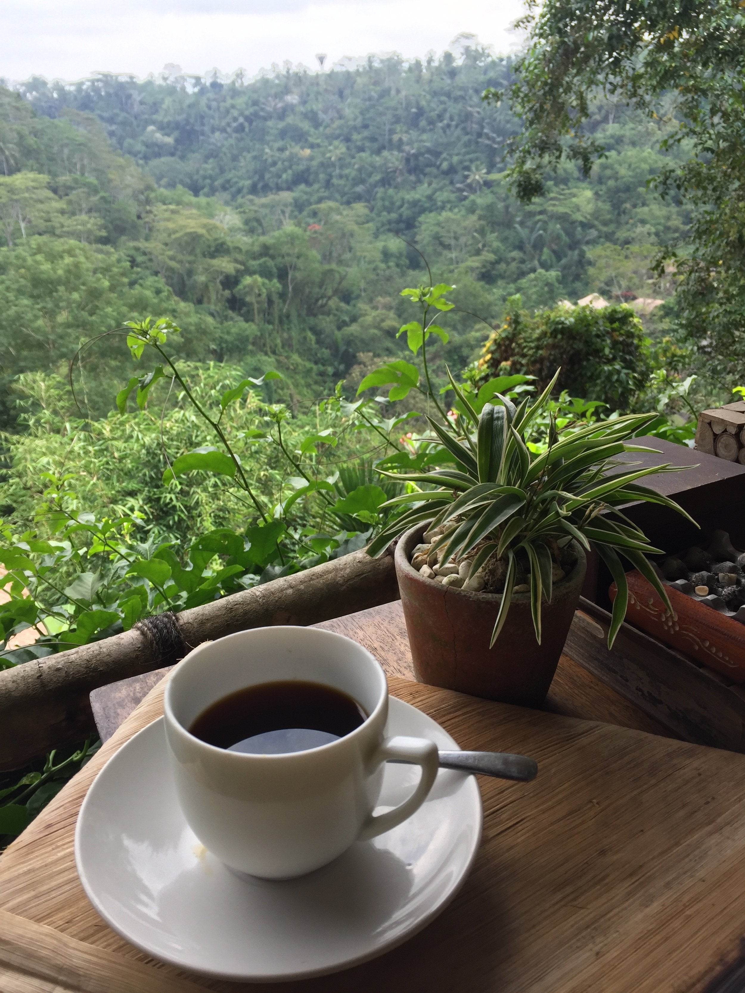 Coffee & Herbalism