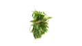 Organic Loose Leaf Lemon Verbena