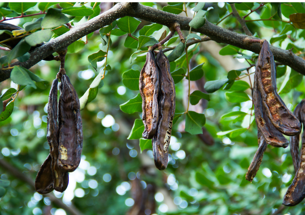 Herbes en Carob Organic Coffee